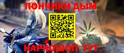 гидропоника Будённовск