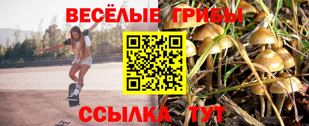 Самара  Псилоцибиновые грибы Magic Shrooms  Вход с VPN 
