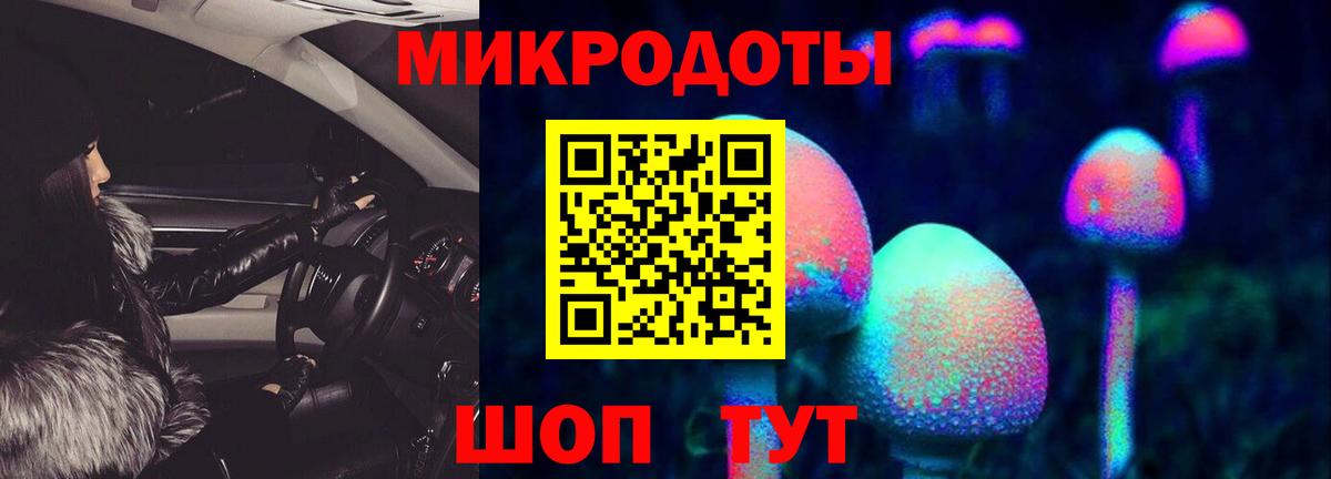 Галлюциногенные грибы Magic Shrooms Самара